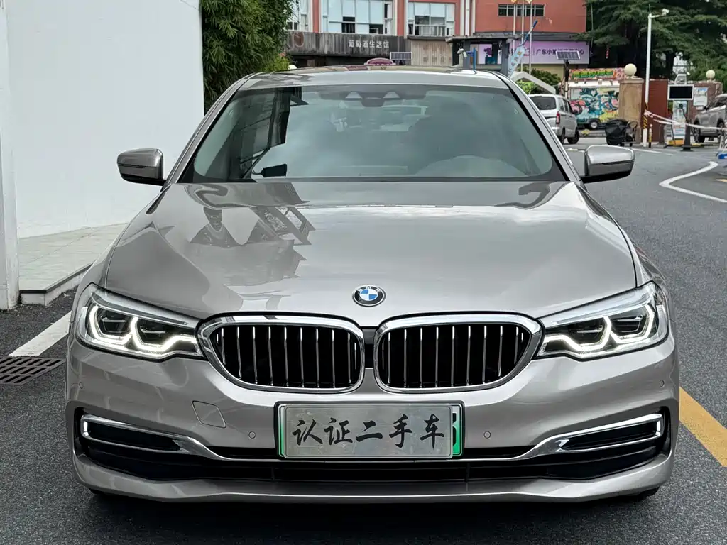BMW 5 Series 5 2020 530Le Luxury