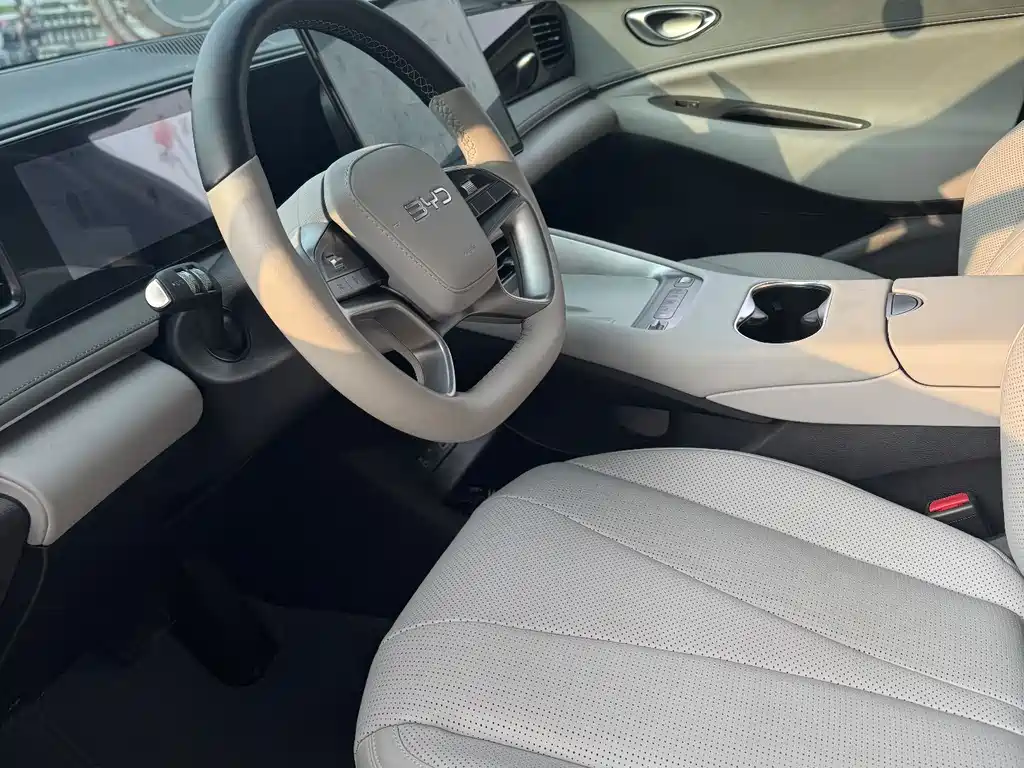 BYD Sea Lion 06 06 2025 DM-i 205 Pro