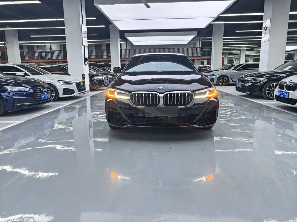 BMW 5 Series — миниатюра 2