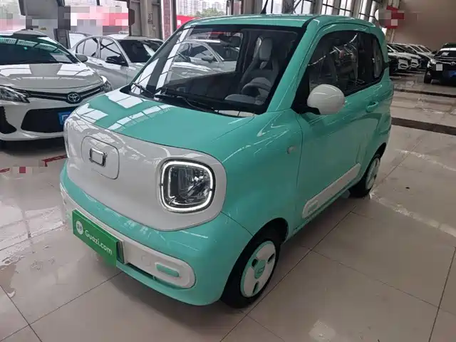 2024 Bestune Pony