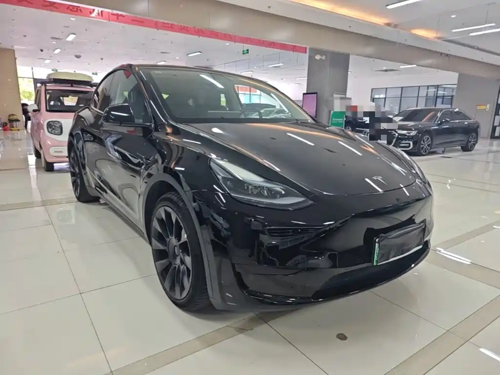 Tesla Model Y — миниатюра 4