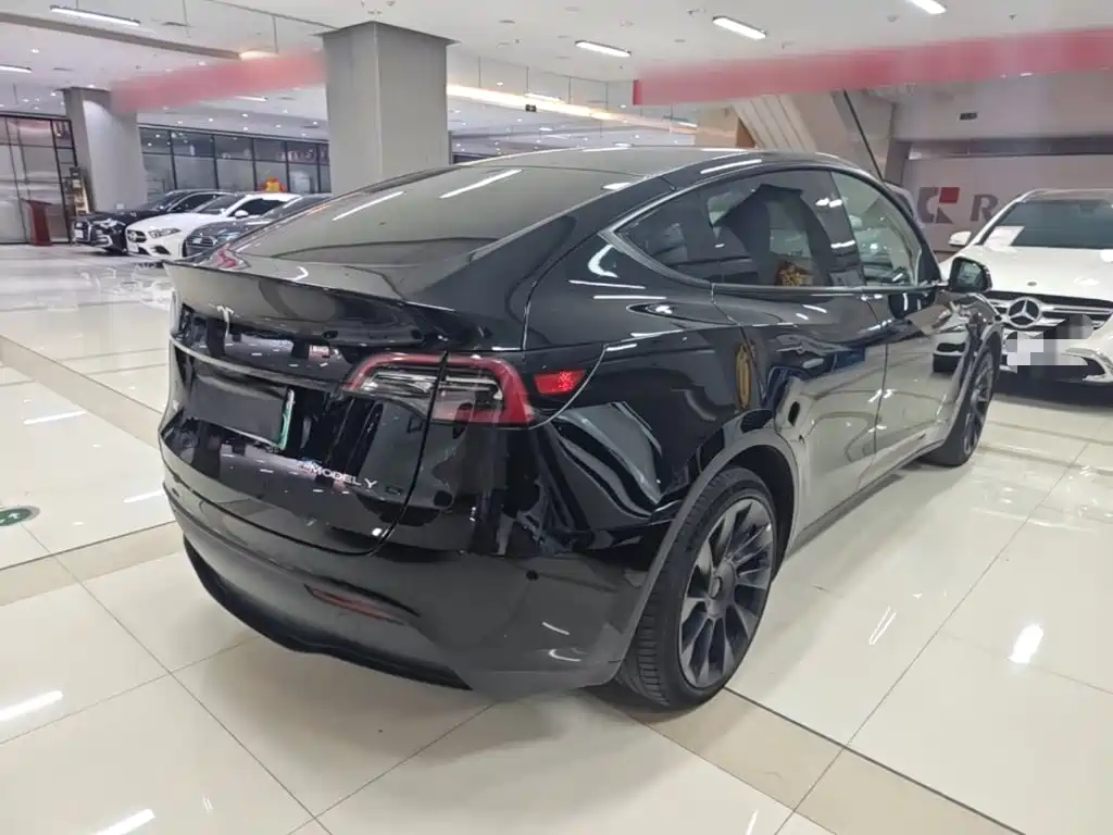 Tesla Model Y — миниатюра 7