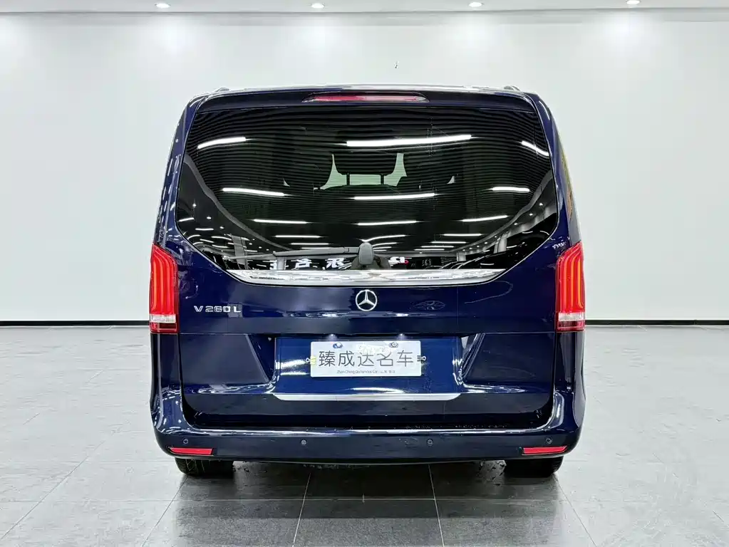 Mercedes-Benz V-Class V 2018 V 260 L Luxury Long Wheelbase VI