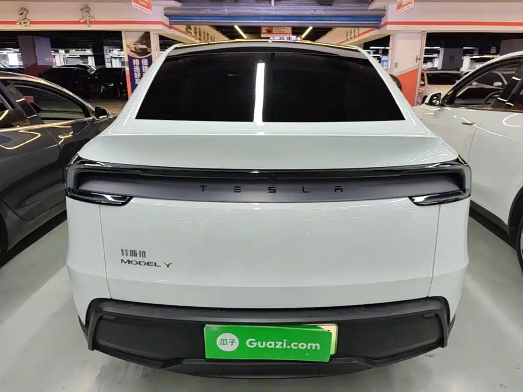 Tesla Model Y — миниатюра 6