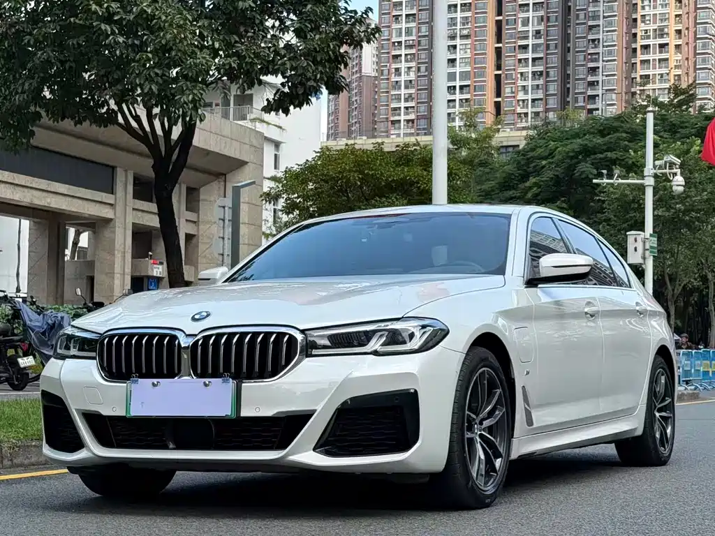 BMW 5 Series New Energy 2021