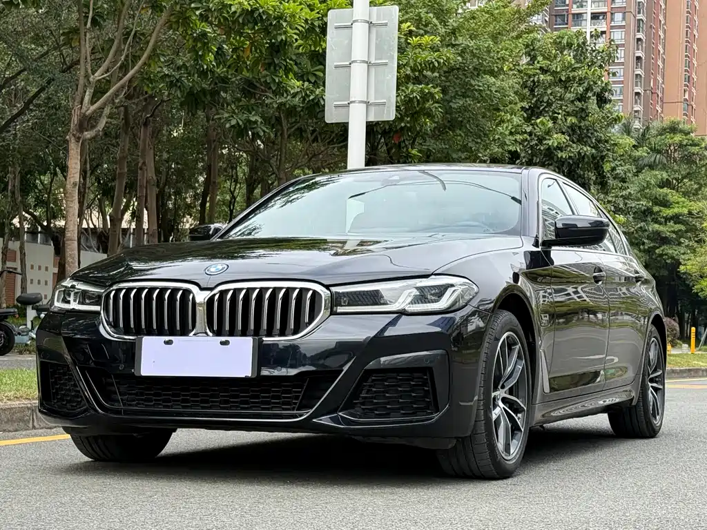 BMW 5 SERIES NEW ENERGY