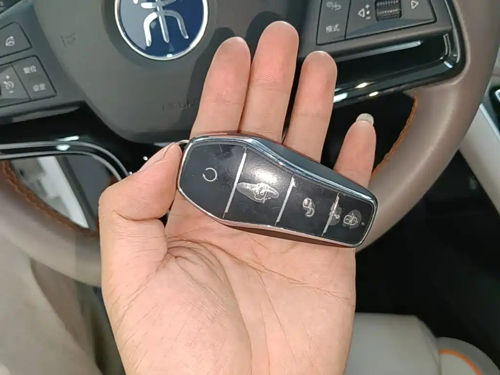 BYD Pro New Energy — миниатюра 9