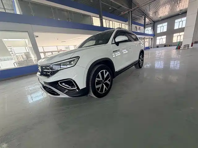 VOLKSWAGEN TANYUE