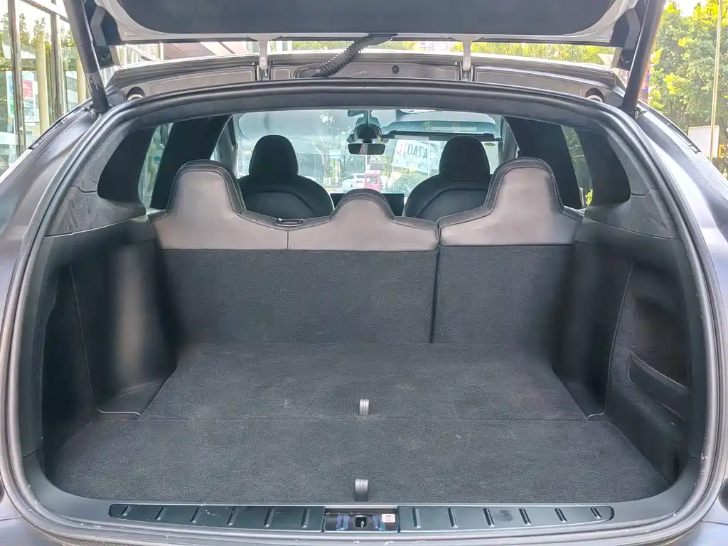 Tesla Model X — миниатюра 11