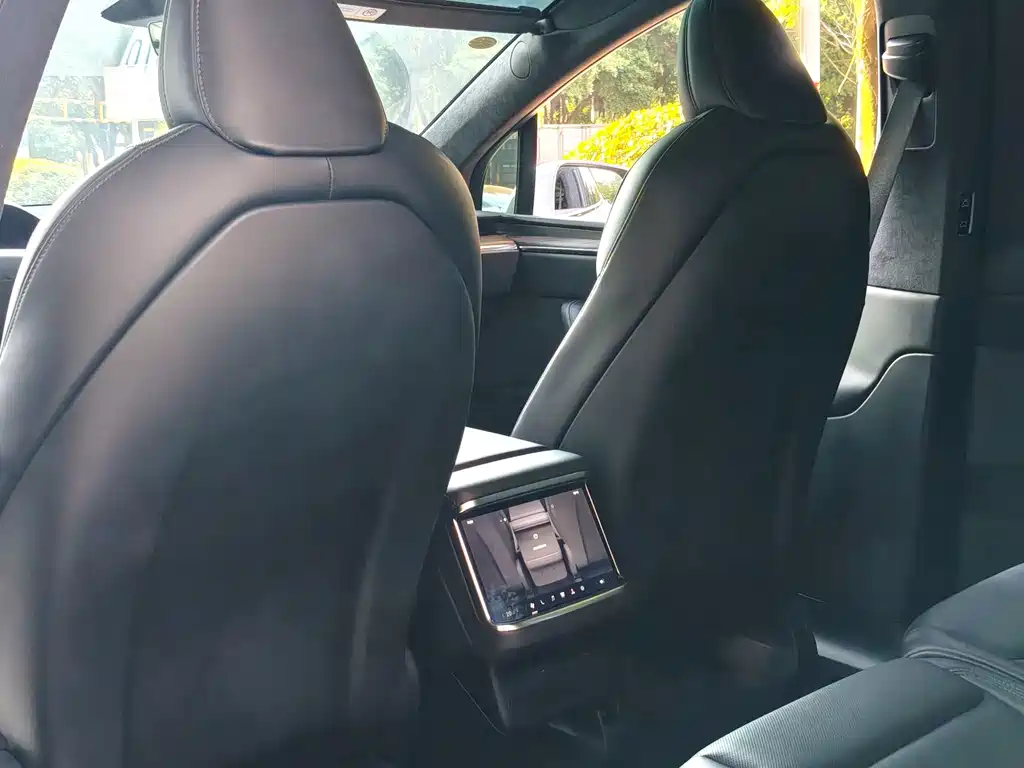 Tesla Model X — миниатюра 26
