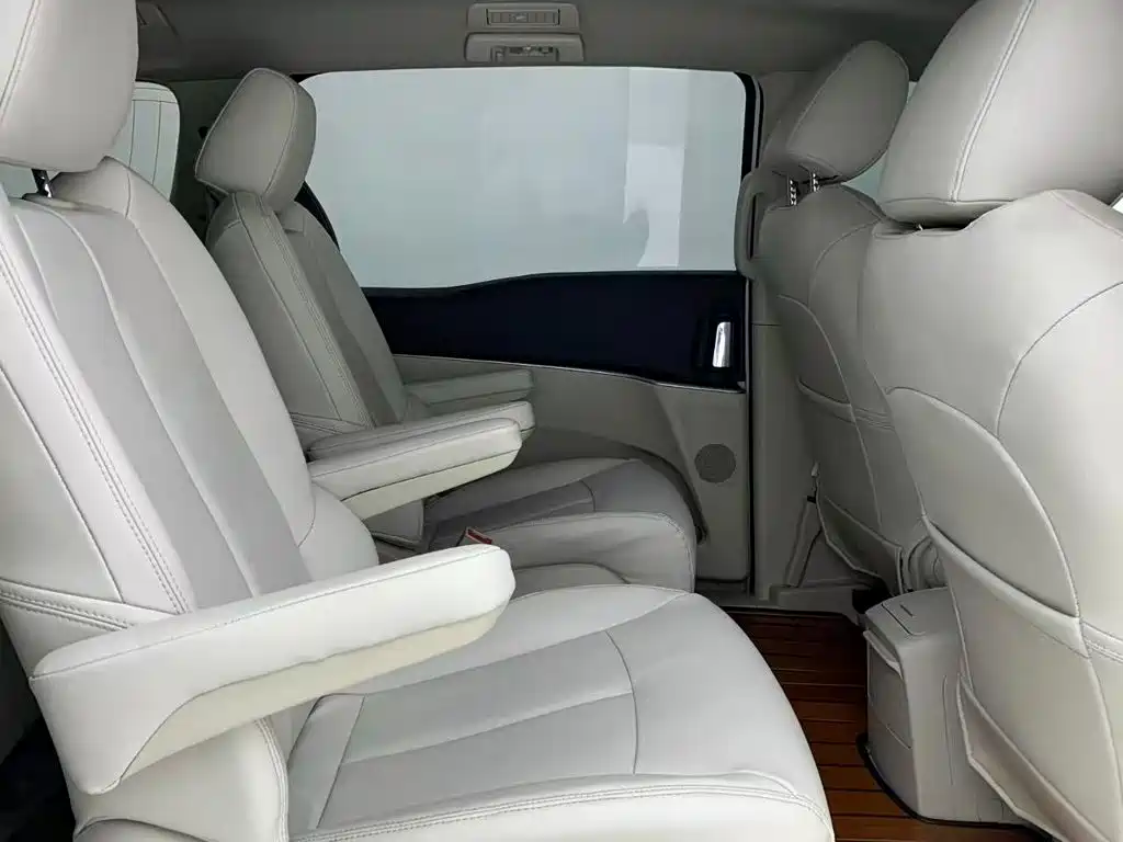 Buick GL8 — миниатюра 11