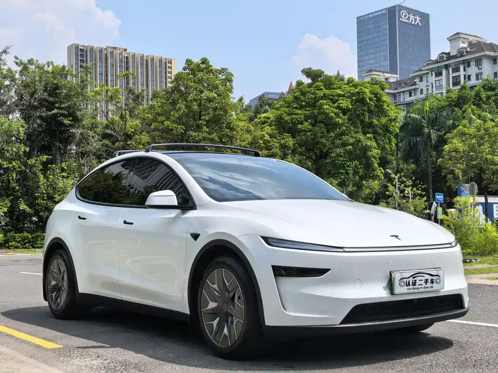 Tesla Model Y L — миниатюра 3