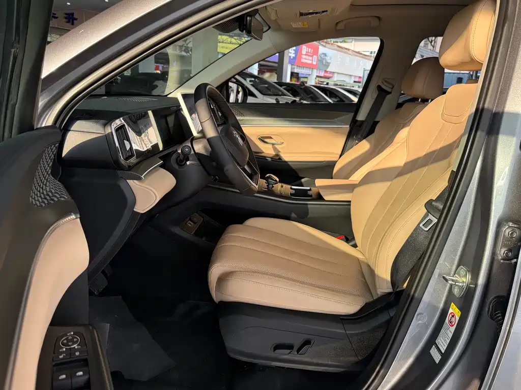 BYD Pro New Energy — миниатюра 8