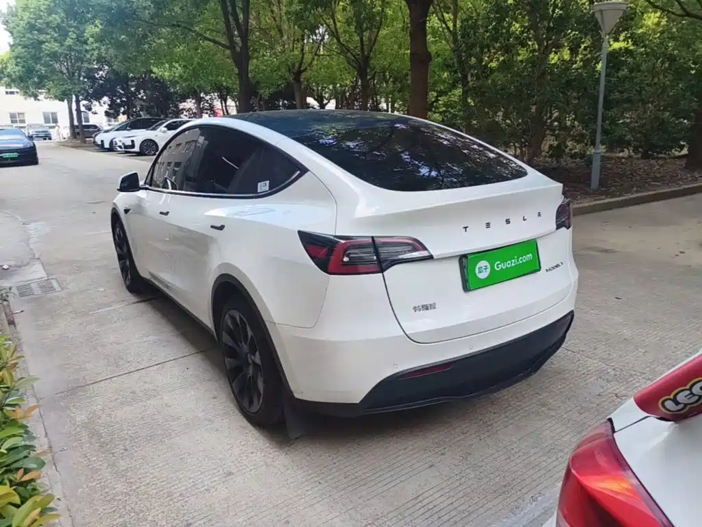 Tesla Model Y — миниатюра 23