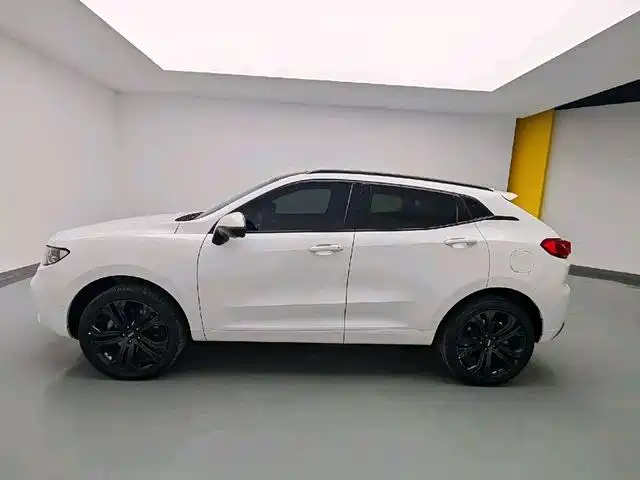 WEI PAI WEI BRAND VV5