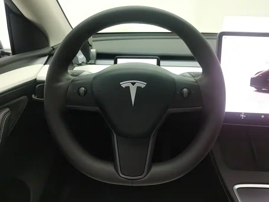 Tesla Model Y — миниатюра 15