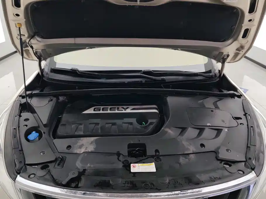 Geely Emgrand GS — миниатюра 10