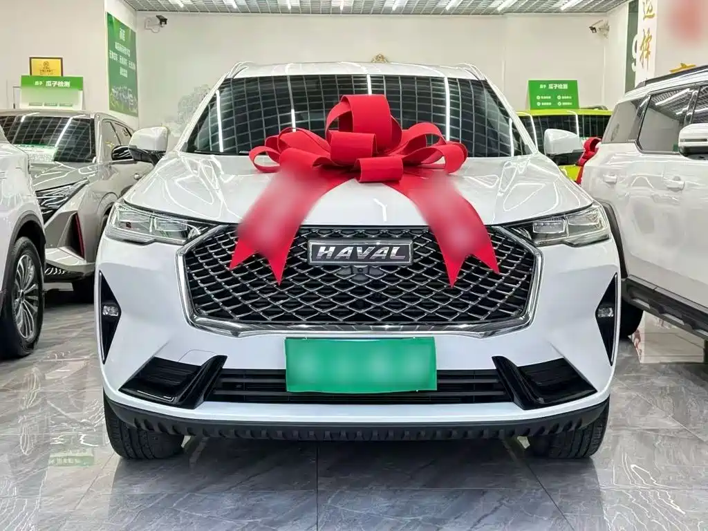 Haval H6 — миниатюра 8