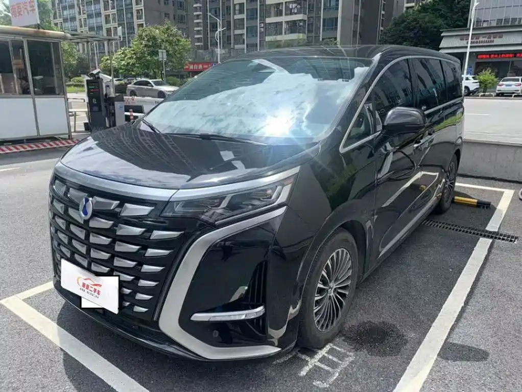 Denza Denza D9