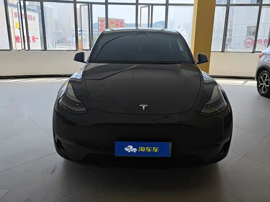 Tesla Model Y — миниатюра 2