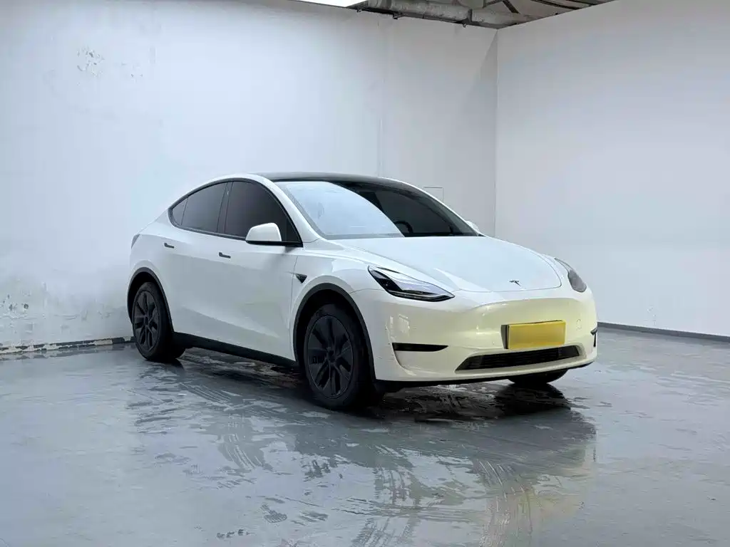 Tesla Model Y — миниатюра 4