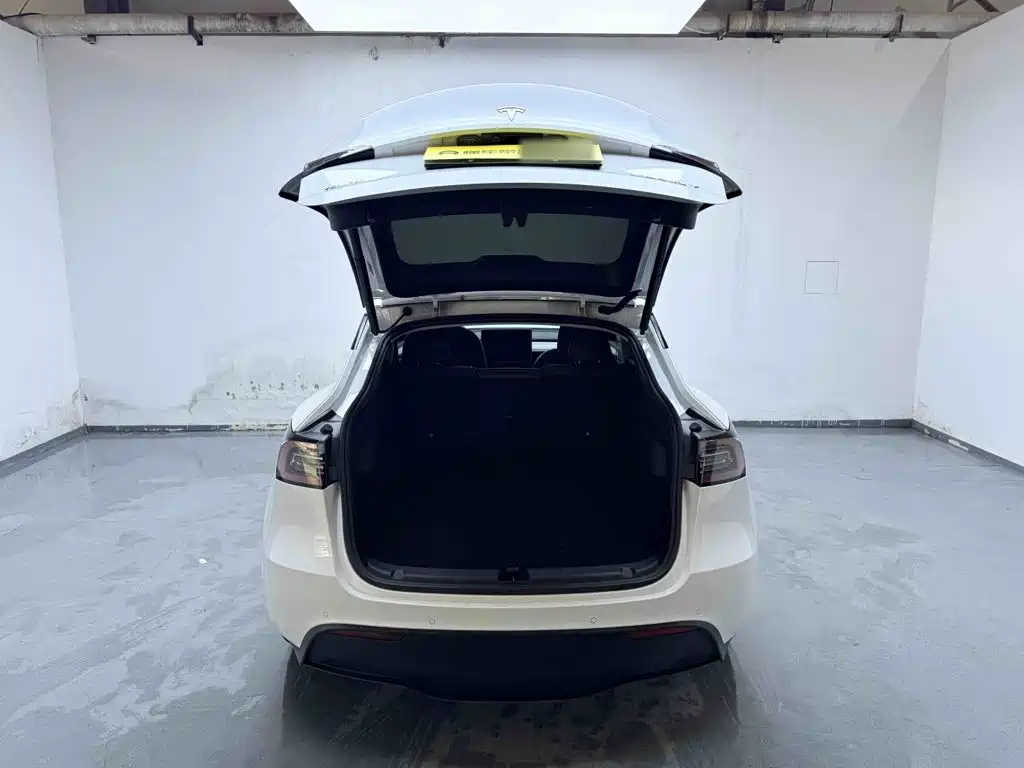 Tesla Model Y — миниатюра 19
