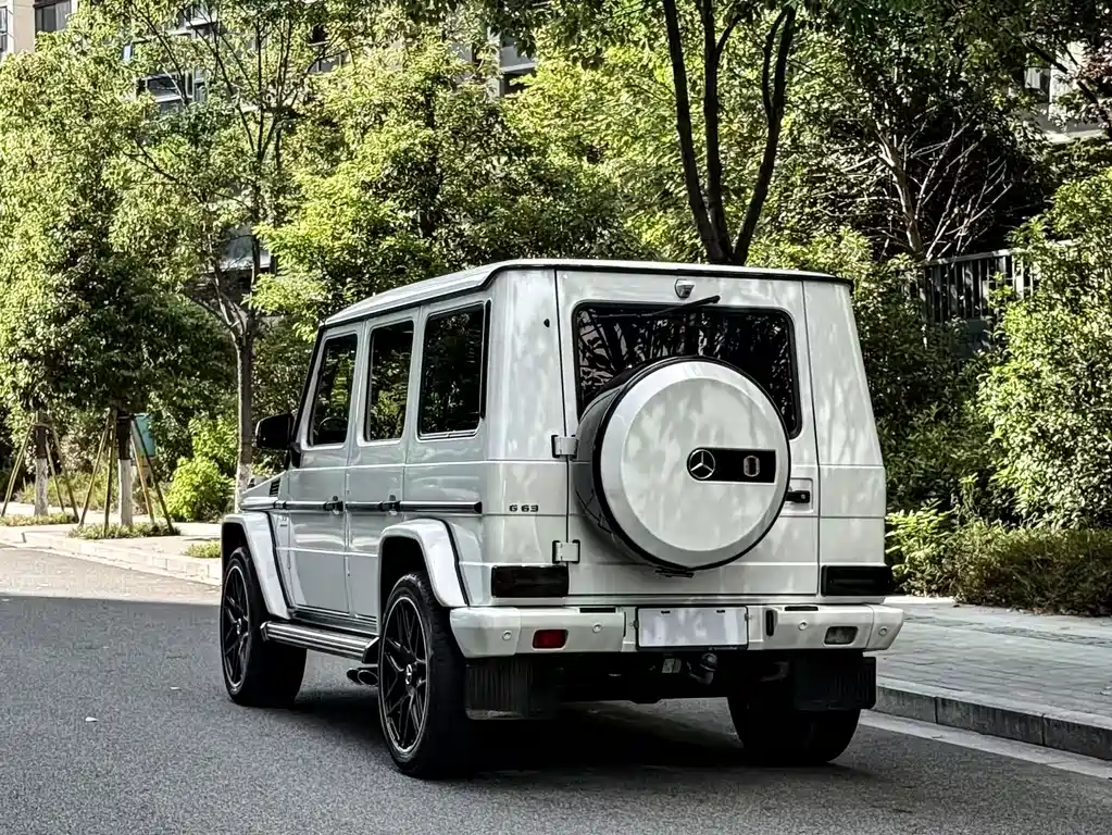 MERCEDES-BENZ G CLASS