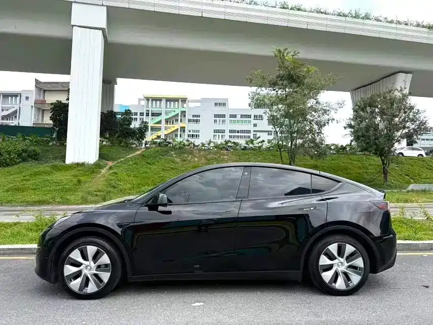 Tesla Model Y — миниатюра 7