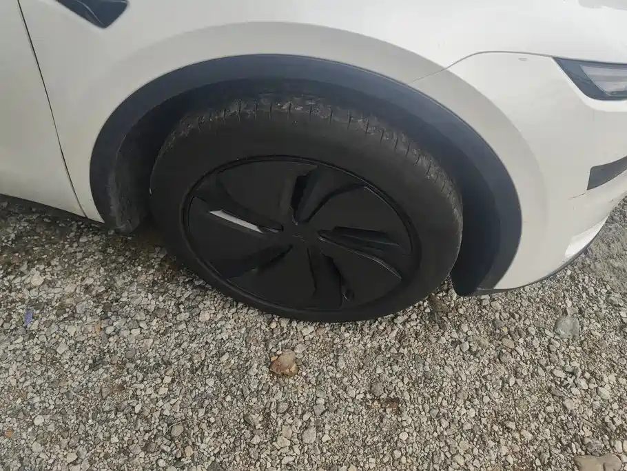 Tesla Model Y — миниатюра 6