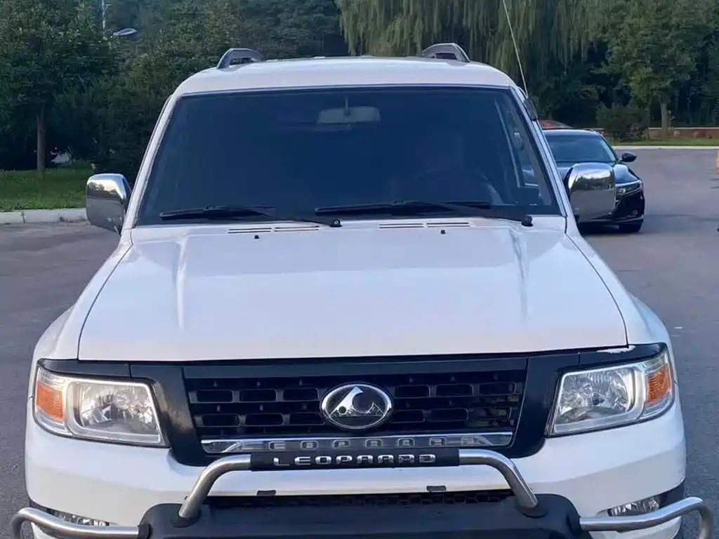 CHEETAH CARS CHEETAH Q6