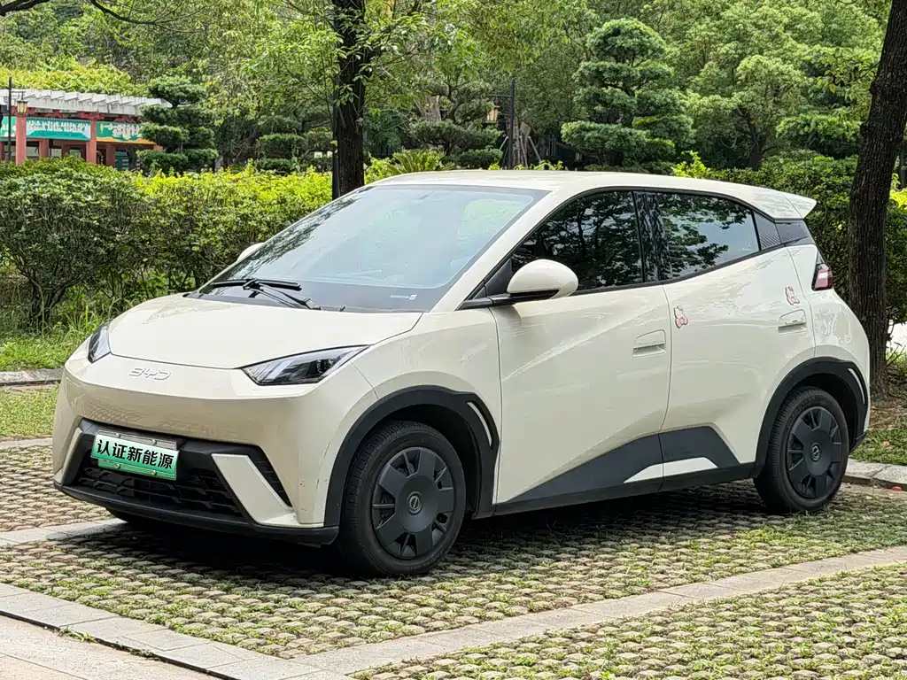 Byd Seagull 2024
