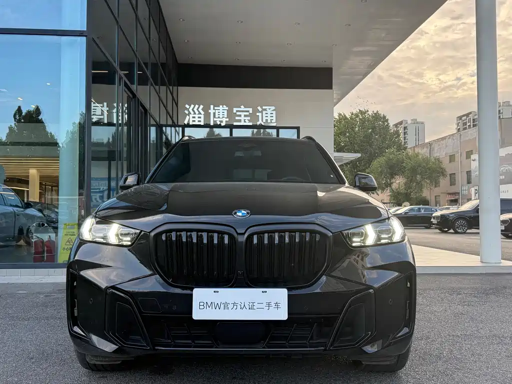 BMW X5 — миниатюра 2