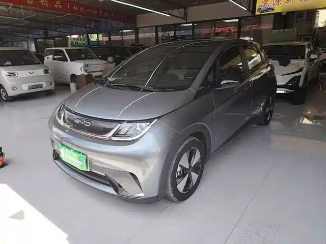 2023 BYD Dolphin