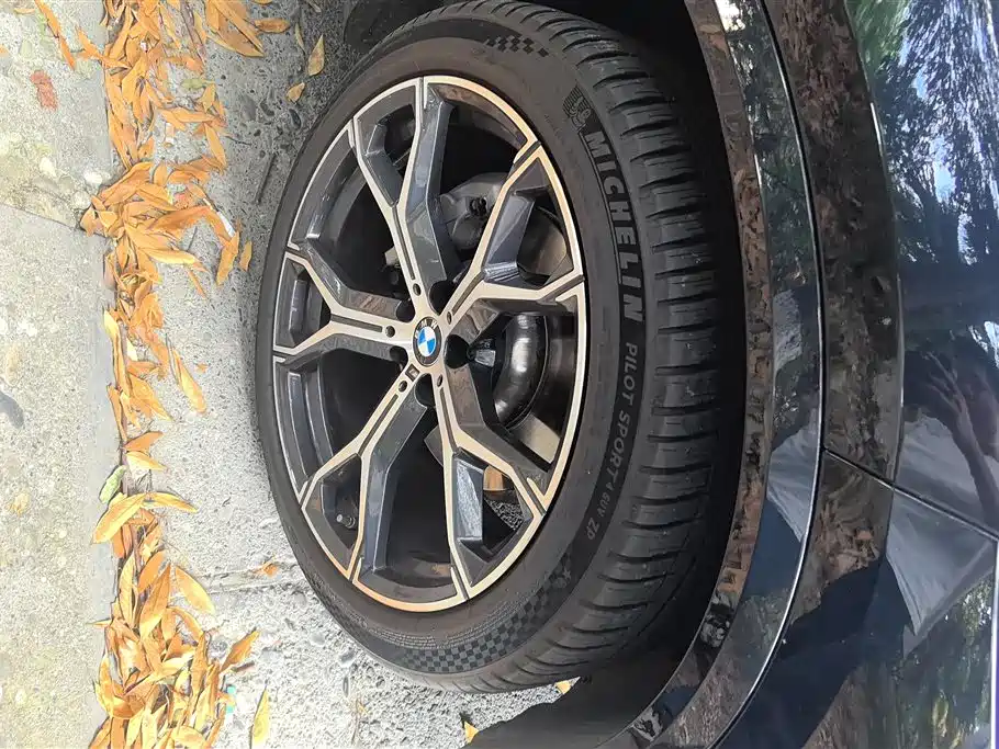 BMW X5 2025 xDrive 30Li Premium M Sport