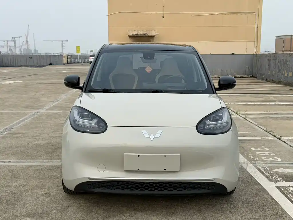 Wuling Binguo 2023 333km