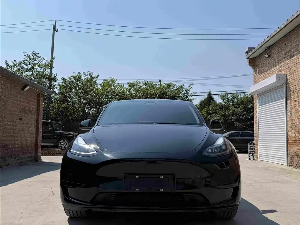 Tesla Model Y — миниатюра 3