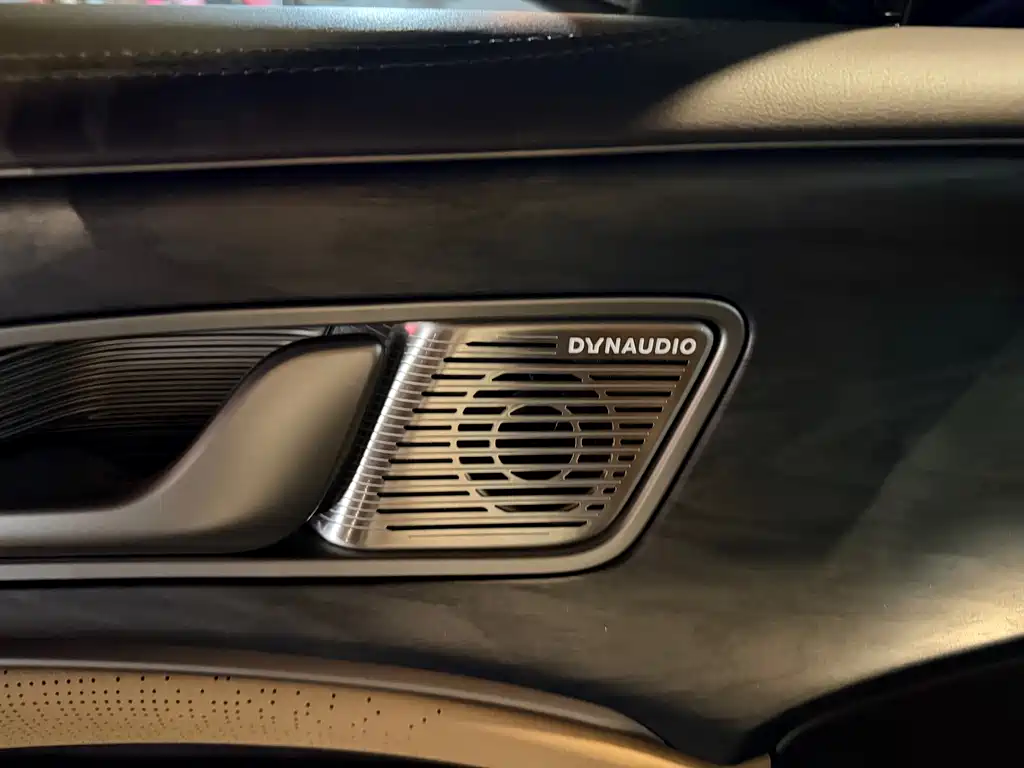 Denza Denza D9 — миниатюра 10