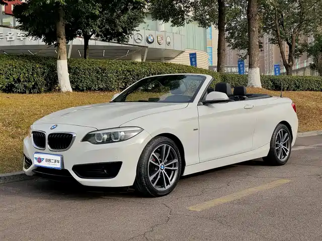 BMW 2 SERIES 2018