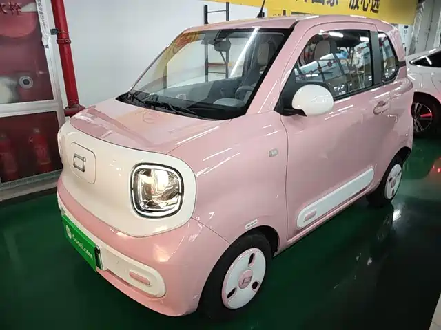 2024 Bestune Pony