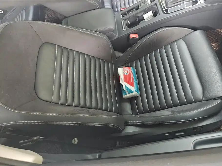 Volkswagen Magotan 2020 330TSI DSG Lead