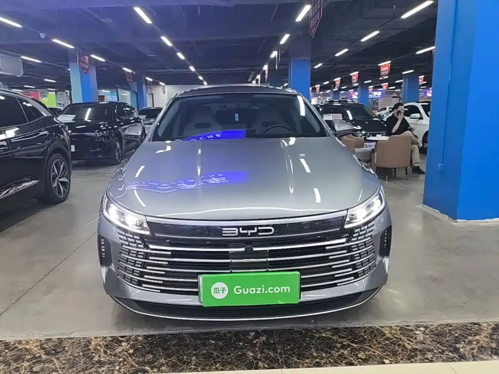 BYD Destroyer 05 2023 Champion DM-i 55KM Luxury