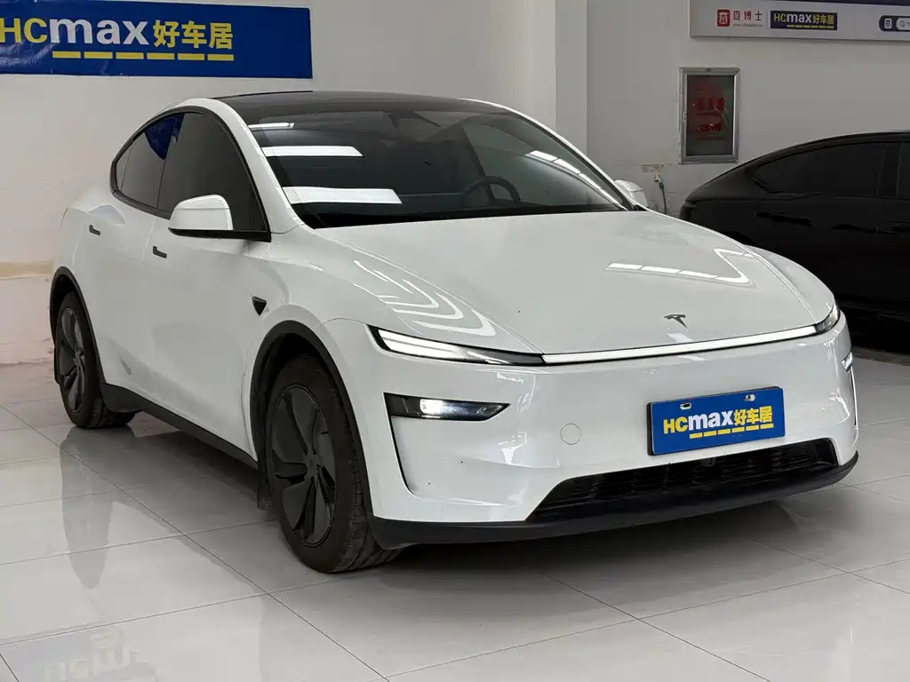 Tesla Model Y — миниатюра 3