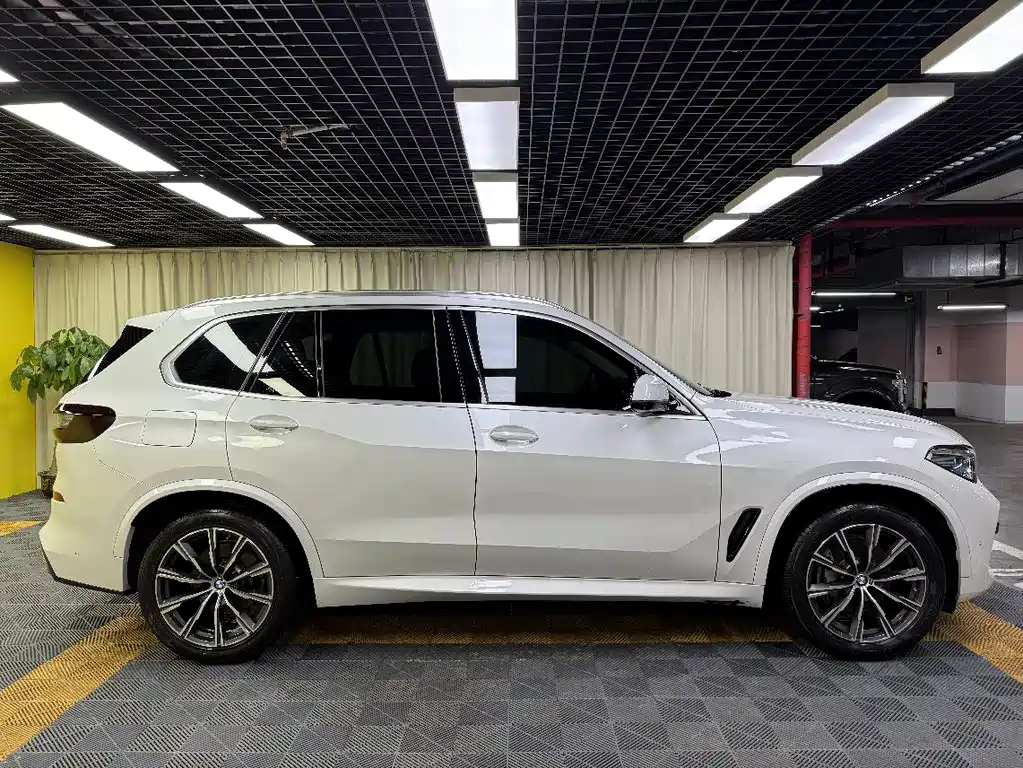 BMW X5 (Import) xDrive40i M Sport Package, фото 7