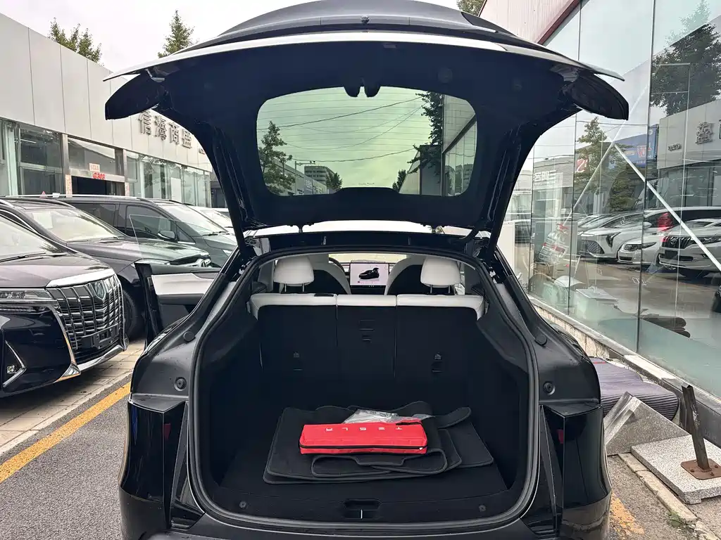 Tesla Model Y — миниатюра 9