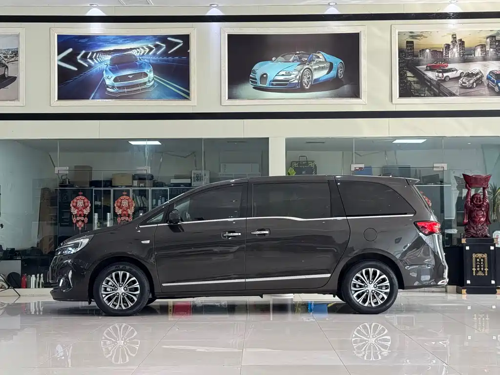Buick GL8 — миниатюра 3