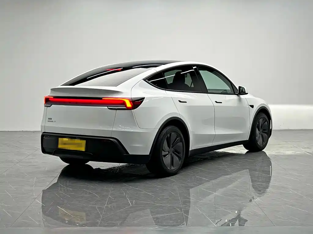 Tesla Model Y — миниатюра 6