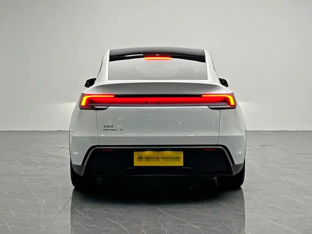 Tesla Model Y — миниатюра 5