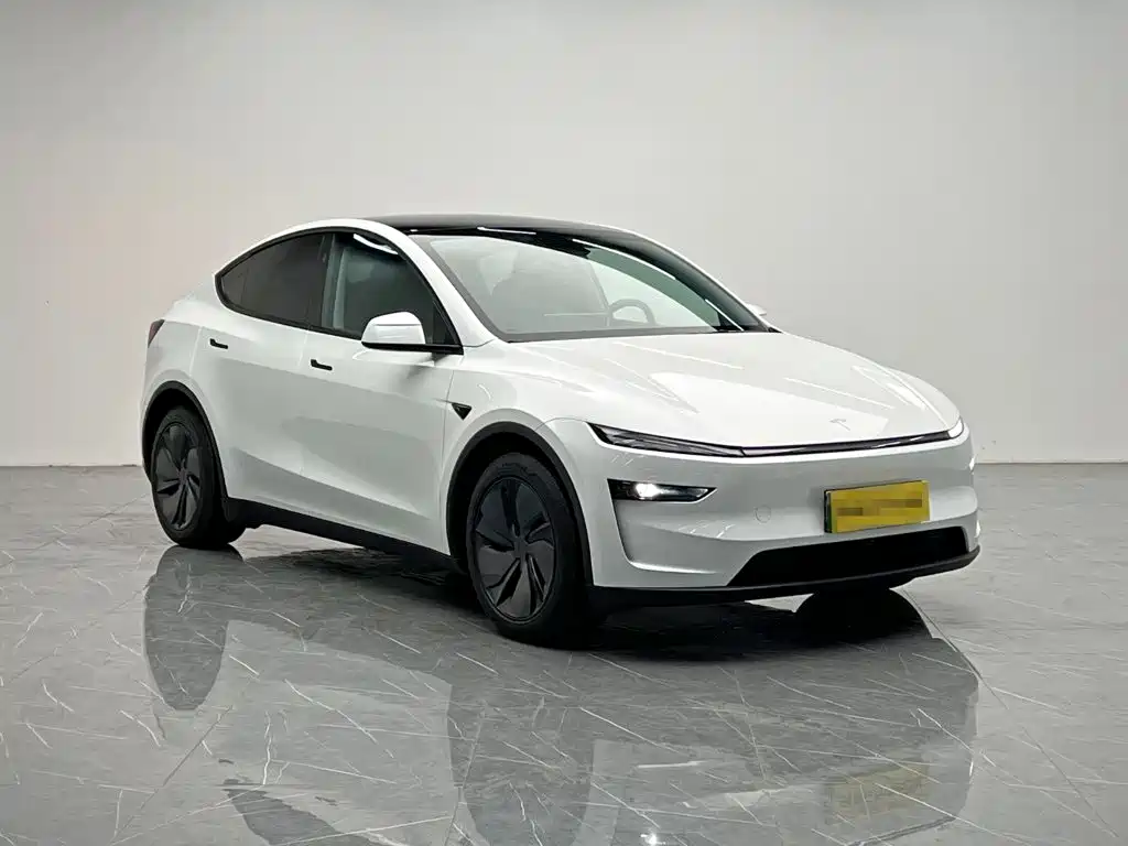 Tesla Model Y — миниатюра 8
