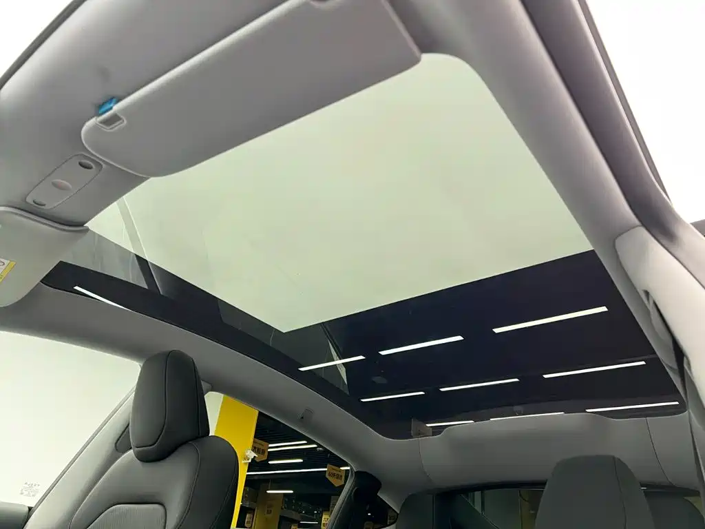 Tesla Model Y — миниатюра 18