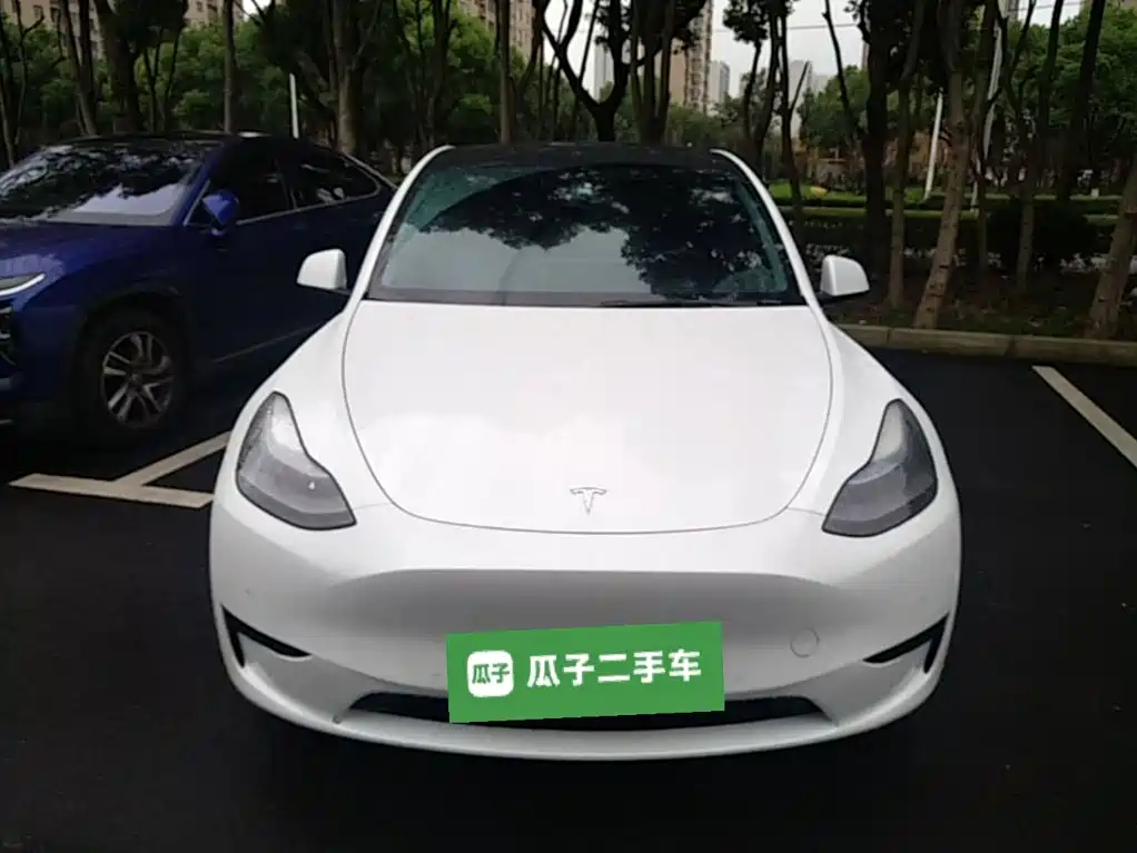 Tesla Model Y — миниатюра 3